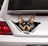 ALANZE 2 Autocollants Chihuahua Noir et feu, décalque de Voiture Chihuahua, décalque pour Animaux de Compagnie
