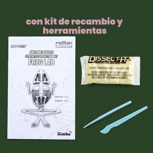 Rana para diseccionar de 16 cm Simba Scout con órganos para aprender anatomía sin cortes 4