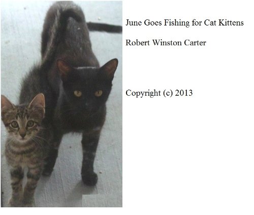 June goes Fishing for Kittens