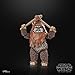 STAR WARS The Black Series Wicket, Return of The Jedi 40th Anniversary 6-Inch Collectible Action Figures, Ages 4 and Up