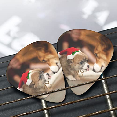 Médiators de guitare 12-Pack médiators de guitare Corgi mignons pour guitare électrique guitare acoustique diverses… - Les Beatles, Paul McCartney, John Lennon, RIngo Starr, George Harrison Médiators de guitare 12-Pack médiators de guitare Corgi mignons pour guitare électrique guitare acoustique diverses… – Image 7