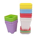 KINGLAKE 12 Piezas de macetas plásticas cuadradas de 7 cm, 6 Colores, macetas cuadradas de plástico Interior con paletas/bandejas, Gruesas