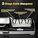 Electric Knife Sharpener for Kitchen – Professional 3-Stage 100% Diamond System with 20° Precision Angle, Fast Sharpening to Restore & Polish Chef Knives(Black)