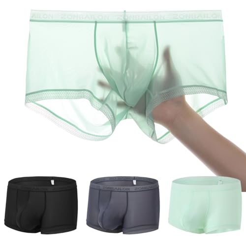 Men's Sexy Underwear Ice Silk Sheer Boxer Briefs See Through Mesh Ultra Thin Transparent Trunk - Main Image