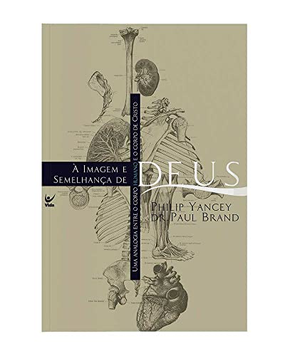 À Imagem e Semelhança de Deus