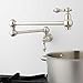 Signature Hardware 329631 Vivan Double Handle Wall Mounted Pot Filler