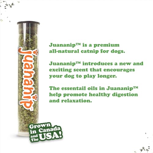 Image of Doggijuana Tuffer Chewer Dog Toy, Pumpkin Spice Latte | Fall Plush, Squeaky | Squeaky plush dog toy with calming Juananip catnip inside; eases anxiety, stress & boredom; durable interactive chew toy