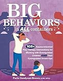 Big Behaviors in All Containers: 105+ Trauma-Informed Play Therapy Interventions for Working with Dysregulated Children and Their Dysregulated Grown-Ups