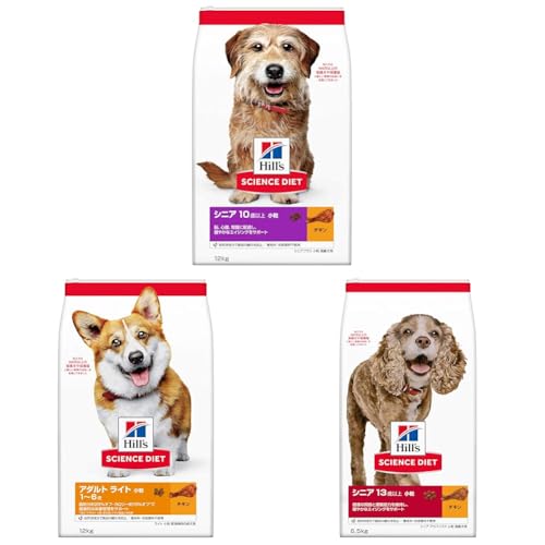 yZbgzqY TCGX_CGbg hbOt[h VjAvX  10Έȏ `L 12s p hC + qY TCGX_CGbg hbOt[h A_g Cg 1~6  `L 12s p hC 얞 + qY 