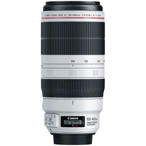 Canon RF 100-500mm lens