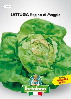 L'ORTOLANO Sementi Orticole Di Qualità In Busta Termosaldata (160 Varietà) (Lattuga Regina Di Maggio)