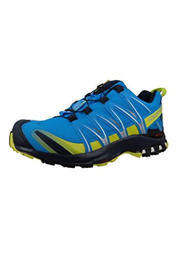 Salomon Mens XA Pro 3D GTX Cloisonné/Navy Blazer/Sulphur Spring Athletic Shoe