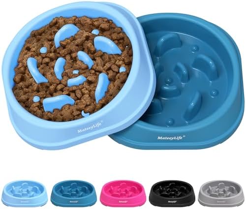 MateeyLife Small Slow Feeder Cat Bowls 2PCS, Anti-Choking Puzzle ...