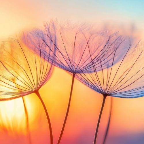 Letting Go of Expectations: A Guided Meditation Podcast Por  arte de portada