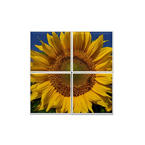 Carreaux céramique tournesol 20x20 cm pour fresque murale été 40x40 cm