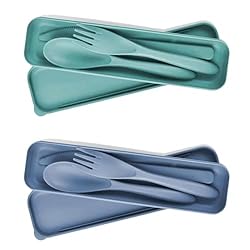 2 Sets Portable Reusable Cutlery Set with Case