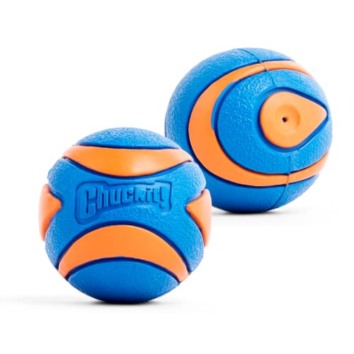 Image of Chuckit! Ultra Squeaker Fetch Balls for Dogs, Floats, Medium 2.5in, 2 Pack