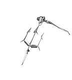PHAMTHOMST Retro Poseidon Trident Harpoon Pendant Necklace Men's Personalized Punk Trend Casual Jewelry, As Pic, PTHOM-T03-US-TP628
