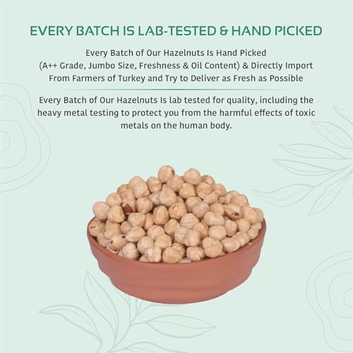 Image of NUTTY ORGANICS Premium Hazelnuts - 500 GM Unsalted and Crunchy | Excellent Source Of Omega 3