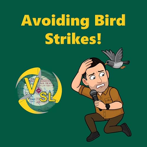 Bird Strikes: Lessons, Tools, and Survival Strategies