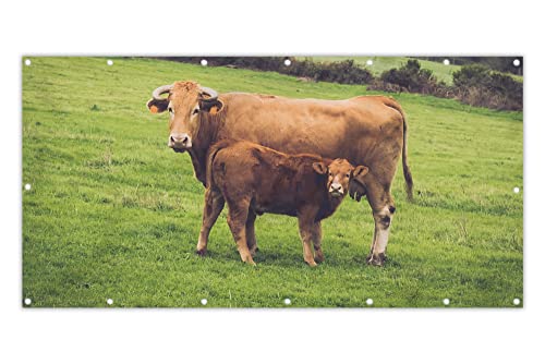 MuchoWow® Balkon Sichtschutz Sichtschutzmatte Balkonbanner Abdeckung für Terrasse Balkon Windschutz Blickdicht Wetterfest 200x90 cm Kühe - Horn - Grün