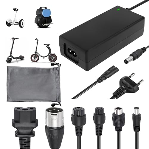 Cargador De Batería De Litio FY-4202000 42V 2A Para Batería De Litio De