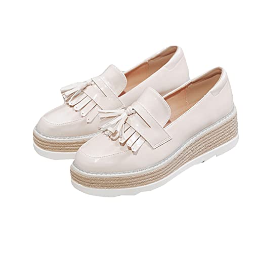 [Z_ `V] tW Gi [t@[ fB[X pvX l w q[ ǐF   6Z` 24.0cm ^bZ [q[ ₷ TCY ~ ₷ Xb| `L[q[ w ʊw 