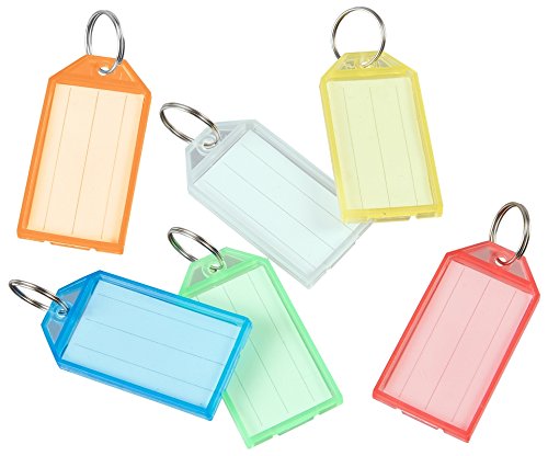 100 Stück Schlüsselanhänger aus transparent rotem Kunststoff inkl. Ring und Papiereinlage (Transparent-Rot)