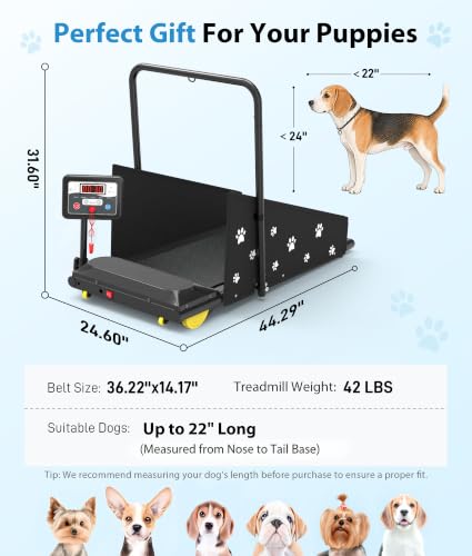 CIIHI Dog Treadmill for Medium Smal...