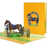AIBAOBAO Geburtstagskarte Pferd Pop-Up Karte Pferdesport Karte Geburtstag 3D Geldgeschenk oder Gutschein für Reiten & Reitstunden Geschenke für Pferdeliebhaber Mädchen Kinder Männer Frauen