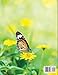 How To Draw Butterflies Coloring Book: Drawing Butterflies - Amazing Activity Book For Kids And Beginners