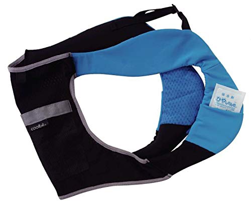 coolbit インナー冷却タスキ Lサイズ 10点セット 楽天市場】現場 熱中症対策 グッズ coolbit 両脇と背中を水と