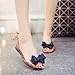 Holibanna Women Summer Flat Jelly Sandals Fish Mouth Bowknot Design Comfortable Beach Shoes Casual Fashion Footwear