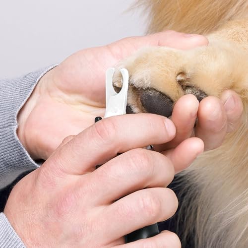 Tondeuse à ongles Tweezerman chien et chat : coupe précise sans effort