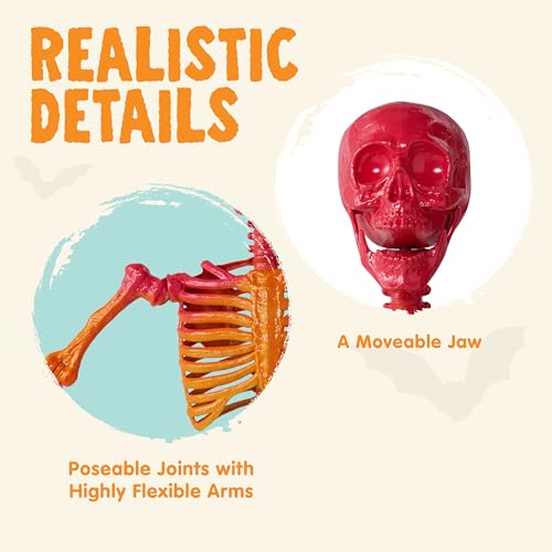 Image of JOYIN 5.6 FT Halloween Posable Life Size Skeleton, Full Body Realistic Bones with Movable Joints, Rainbow Color Giant Skeletons for Halloween Decoration Outdoor, Haunted House Prop, Spooky Scene Party