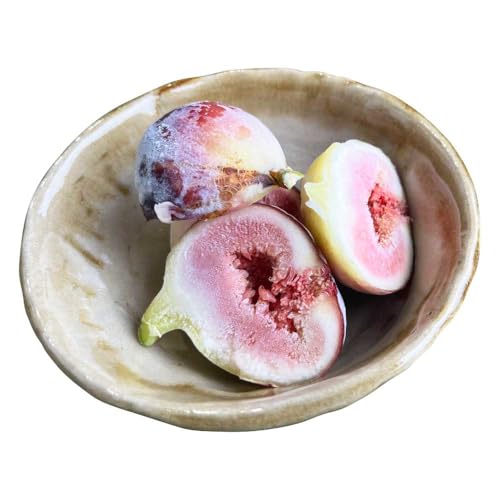 訳あり 冷凍イチジク 約1.5kg 合同会社宝Farm