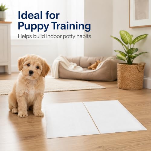 Image of RAINFLOW Dog Pee Pads, Puppy Training Pads 50 PCS, Disposable Absorbent