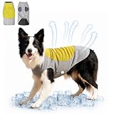 Kühlweste Hund mit Kühlakku, Kühlwesten-Geschirr für Hunde, Atmungsaktive Sommer-Eisweste, Haustierkühlung hält die Kälte, Tasche für langanhaltende Abkühlung，Gelb：XXXL