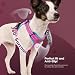 FAYOGOO Hundegeschirr, Kein Choke Front Clip Hund Reflektierendes Geschirr, No-Pull Verstellbare Weiche Gepolsterte Haustier Weste Set für kleine Mittlere Große Hunde Gehen (Rosa, M)