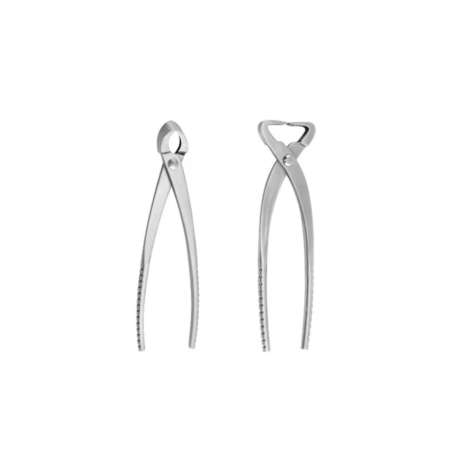 2 pz 210mm In Acciaio Inox Set di Attrezzi Bonsai Kit Da Giardino Pomello Taglierina Ramo Cesoie Tronco Splitter Forbici(Set D)