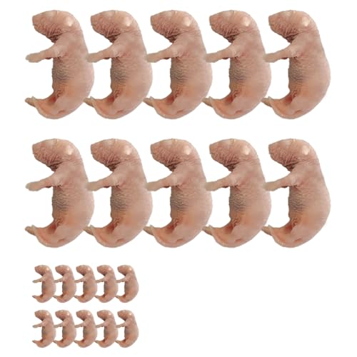 feedbase 冷凍マウス ピンク 20匹入り S 1〜2g