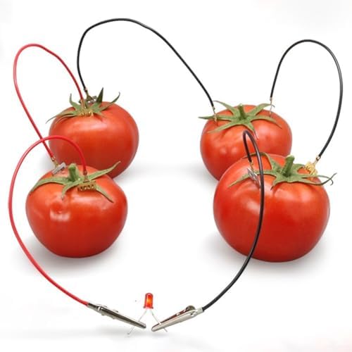 Science Fair Project Kit, Fruit Experiment Equipment With Metal Plates And Wires, Teaches Energy Conversion And Circuit Basics For Students, Safe Hands-on Physics Learning Tool - 2