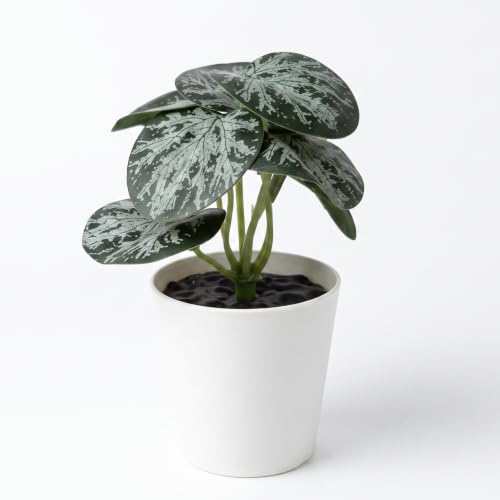 Image of Dekorly Pack of 6 Mini Artificial Potted Plants, Small Indoor Potted Houseplants, Small Faux Plants for Home Decor Bathroom Office Farmhouse (Mini Botanical Collection)