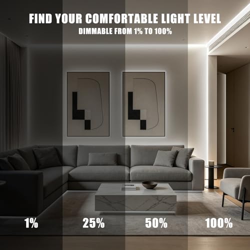 Tira LED COB 10m blanca ajustable 2700K-6500K con control miniatura 4
