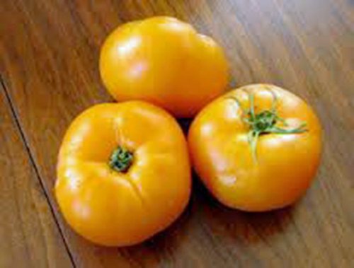 Tomato, Jubilee, Heirloom, 500 Seeds, Deliciously Sweet Yellow Fruit