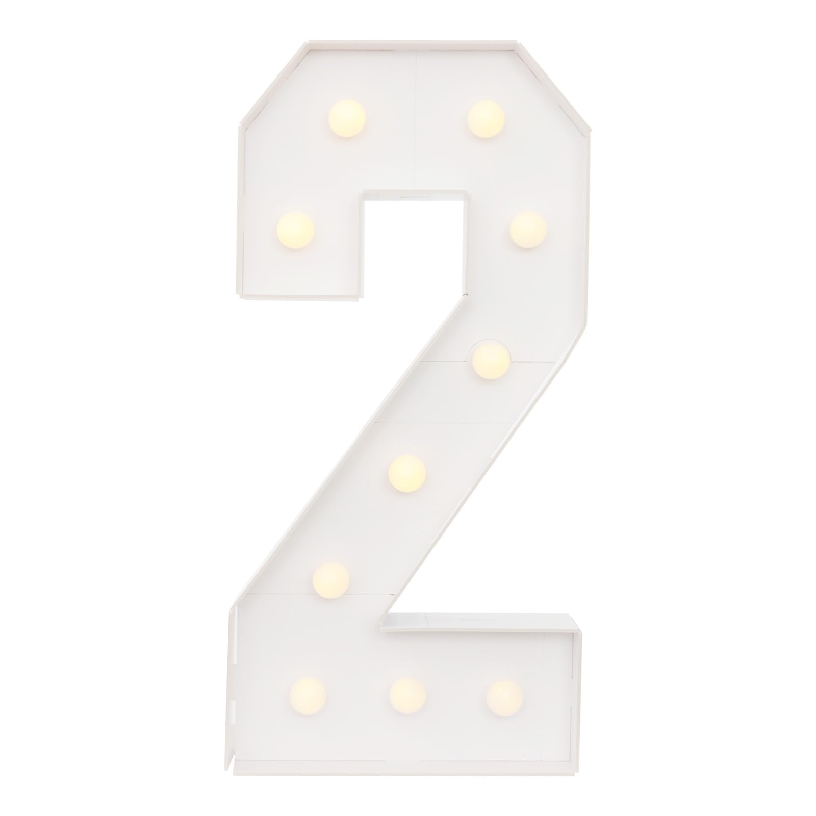 100cm Light Up Number, LED Number Sign, Birthday Party Decoration(2)