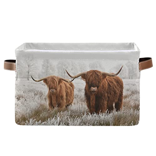 Image of Scottish Highland Cow Storage Basket Fabric Storage Bin Baskets Bull Farmhouse Funny Animal Foldable Storage Boxes Bag for Baby Cloth Dog Toy Book Storage Cubes Shelf Closet Basket 16×12×8 Inches