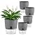 Self Watering Pots for Indoor Plants with Stones