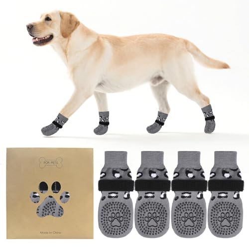 KOOLTAIL ~߃hbO\bNX rߖh~ zbgܑ&n[hEbhtAphbOV[Y vȃ\tgʃObv\bNX ^^pAVjApgNVRg[