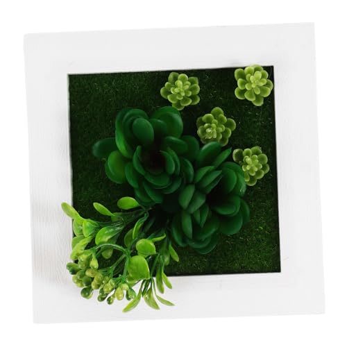 UPKOCH Cadre Photo Murale De Plantes Succulentes Artificielles Décoration Minimaliste Faux Végétation Pour Maison Et Bureau Cadre Décoratif Avec Variété De Plantes Et Styles